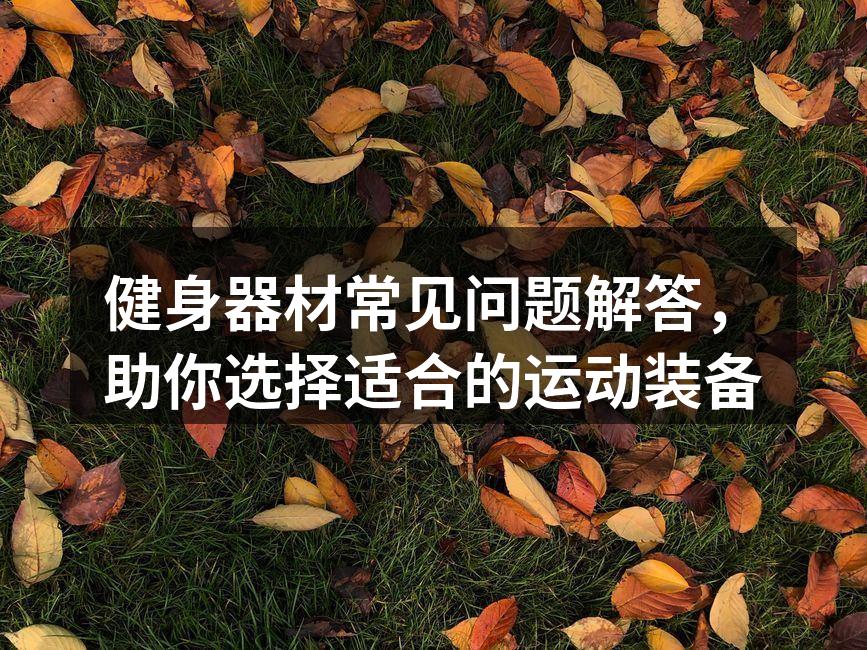 健身器材展示，选择适合你的装备